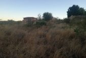 Residential stand for sale in Matshemahlophe @25000