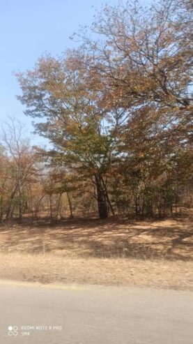 LUPANE FARM FOR SALE