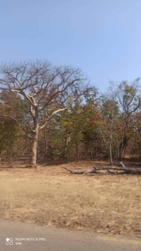 LUPANE FARM FOR SALE