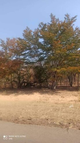 LUPANE FARM FOR SALE