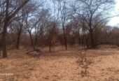 LUPANE FARM FOR SALE