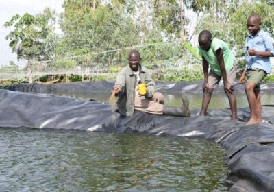 13-James-feeding-fish-at-one-of-his-ponds-with-his-sons.-World-Vision_Photo-by-Sarah-Ooko.