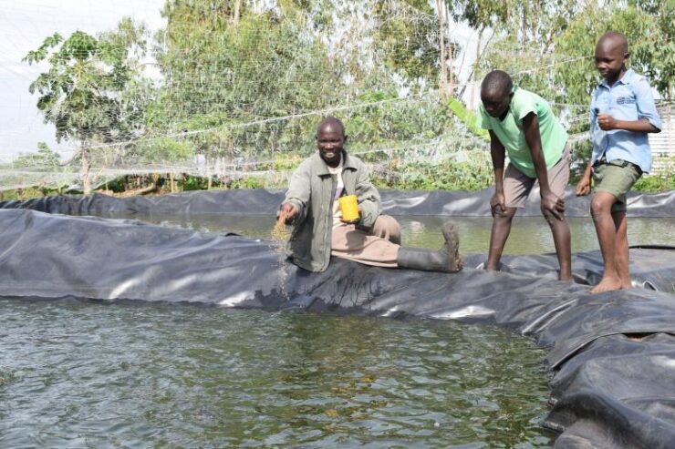 Fish Farming Training l Buyorsell Marketing