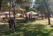 Affordable Accommodation |  Victoria Falls l Chigayo