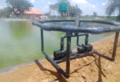 Fish Farming l Blessing