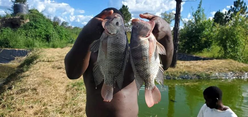 Fish Farming projects I Blue Water Fisheries