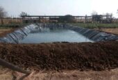 Fish Farming projects I Blue Water Fisheries