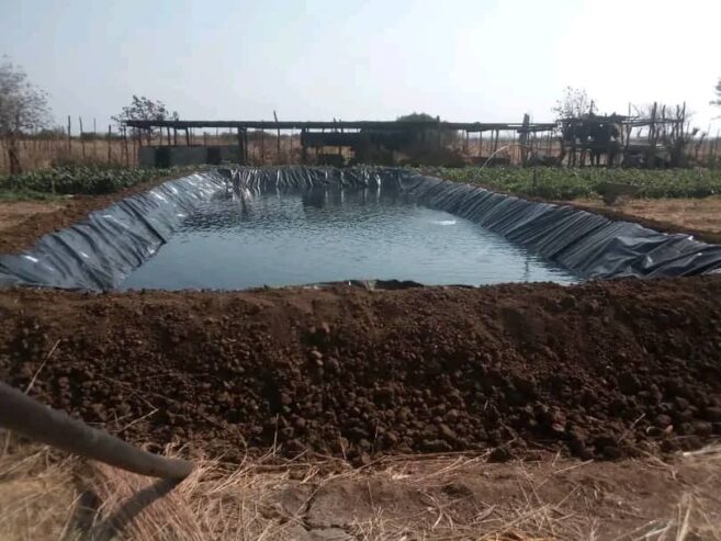 Fish Farming projects I Blue Water Fisheries