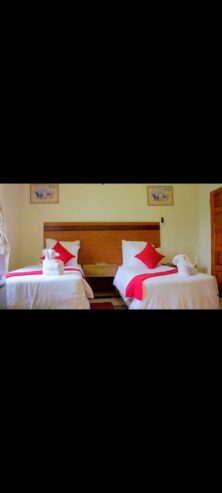 Standard rooms with twin beds at Trigger lodge in Gwanda