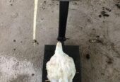 Dressed chickens for sale in Bulawayo, Gweru – Buyorsell Marketing