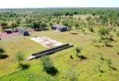 FOR SALE: Prime 85-Hectare Fully Integrated Commercial Farm – Nyamandlovu – Buyorsell Marketing