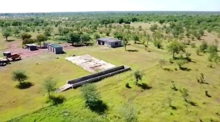 FOR SALE: Prime 85-Hectare Fully Integrated Commercial Farm – Nyamandlovu – Buyorsell Marketing