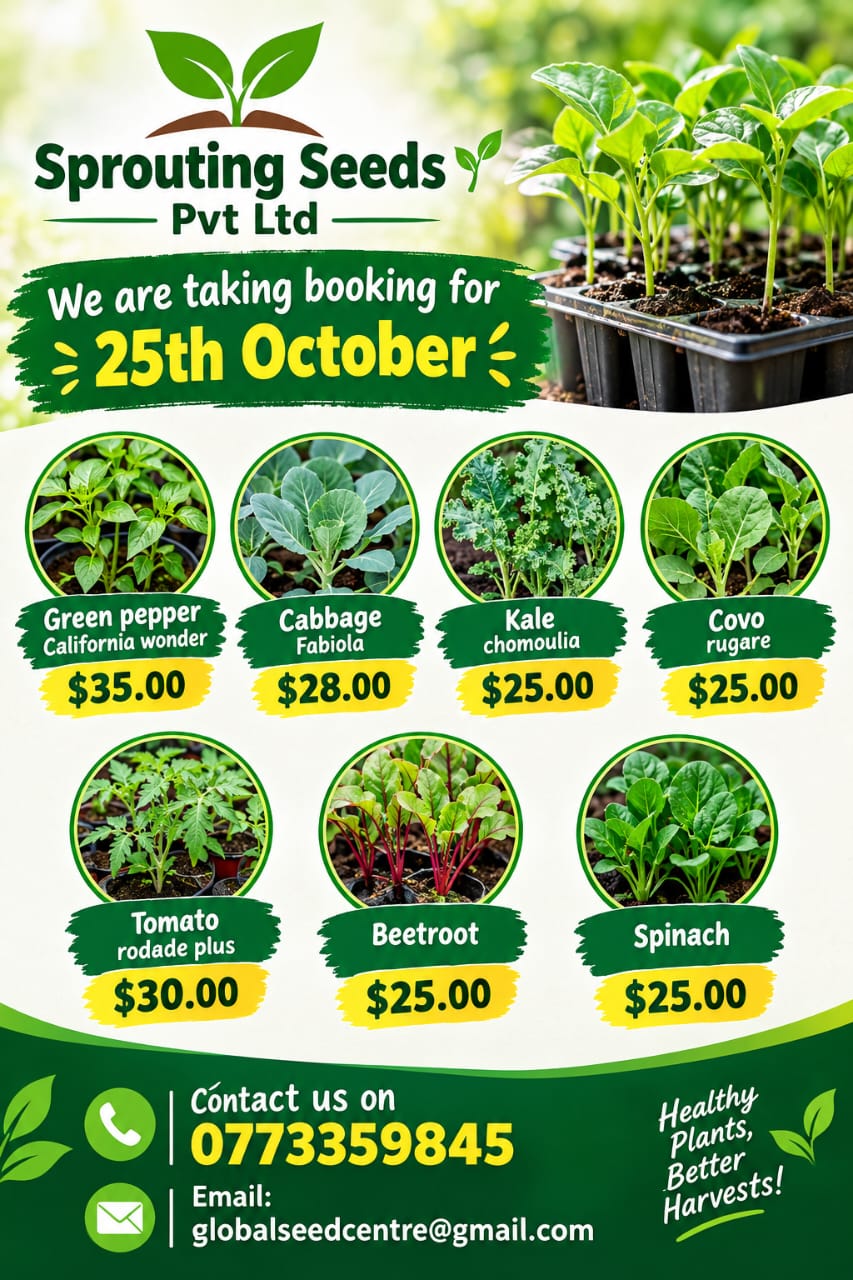 Green Pepper (California Wonder) Seedlings for Sale – $35.00 – Buyorsell Marketing